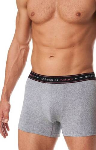 Труси боксерки чоловічі MXH 132 Key - сірий смугастий