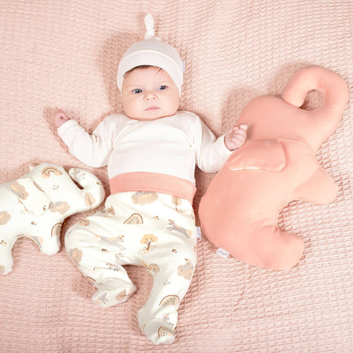 Повзунки дитячі 209009 Rosy Nicol