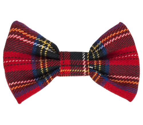 418/kk Little Gentleman Muszka Marija - kratka