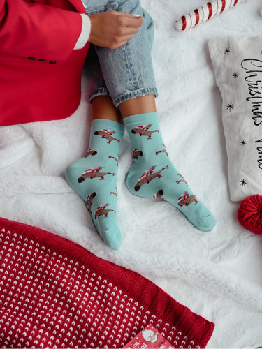 1283.041 Kapibara na łyżwach Skarpety Milena – Жіночі святкові шкарпетки