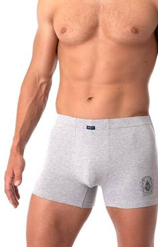 Труси боксерки чоловічі MXH 254 Key, - сірий