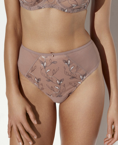 Ava 2273 Mocha Mousse Класичні жіночі трусики з вишивкою та сіткою