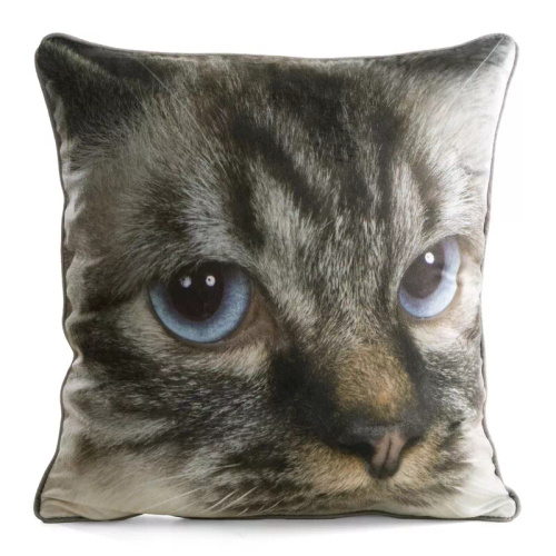 Наволочка Animal cat 45x45 оксамит Eurofirany на блискавці