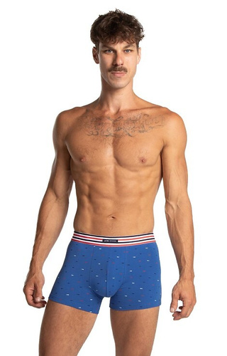 Чоловічі боксериM-1066 SZ Lama