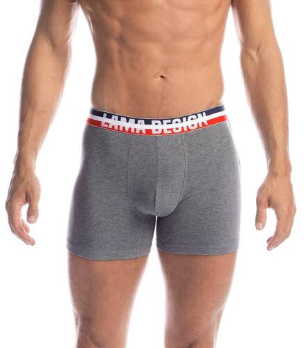 Труси- боксерки чоловічі M-1029 SZG Lama, - темно-синій/сірий