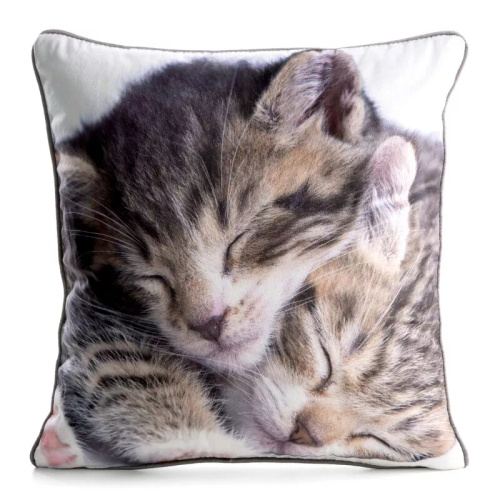 Наволочка Animal cat 45x45 оксамит Eurofirany на блискавці