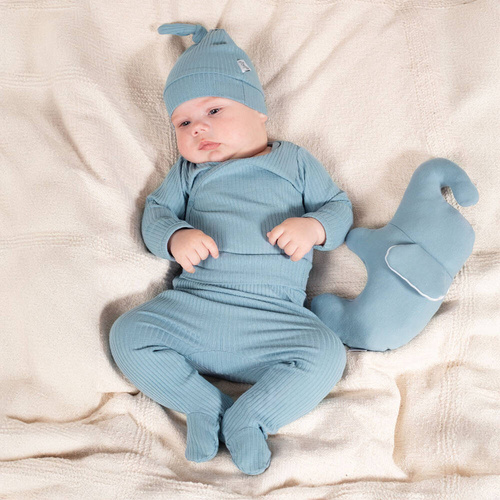 Повзунки дитячі 210010 Teddy Nicol - голубий