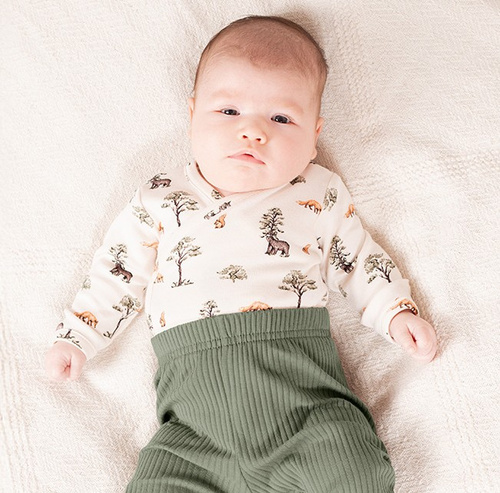 218094 Yogi Bear Боді бавовняне Nicol – довгий рукав, лісовий принт