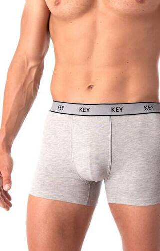 Труси боксерки чоловічі MXH 222 Key, - сірий