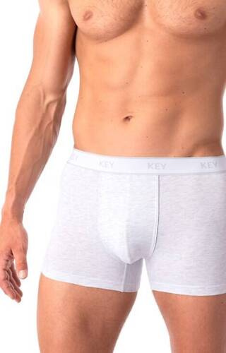 Труси боксерки чоловічі MXH 222 Key, - світло-сірий