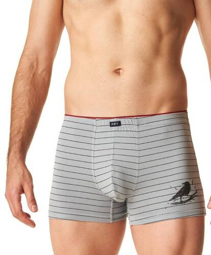 Труси боксерки чоловічі MXH 400 Key, - сірий