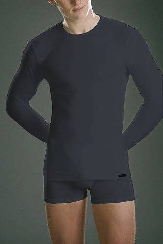 Футболка чоловіча з довгим рукавом authentic 214, - графіт