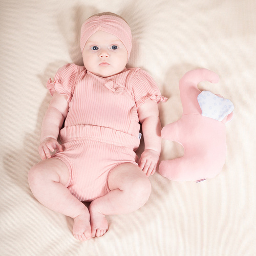 Дитяче боді короткий рукав  213100 Nelly Nicol