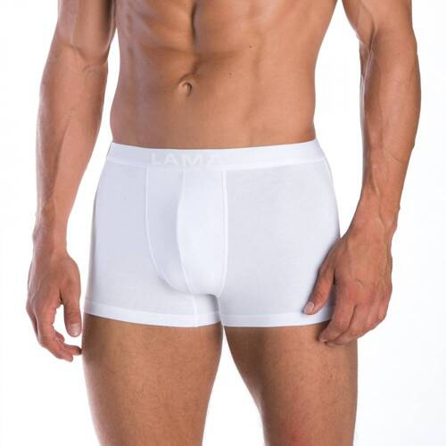 Труси боксерки чоловічі M-4001 SZG-01 Lama - білий