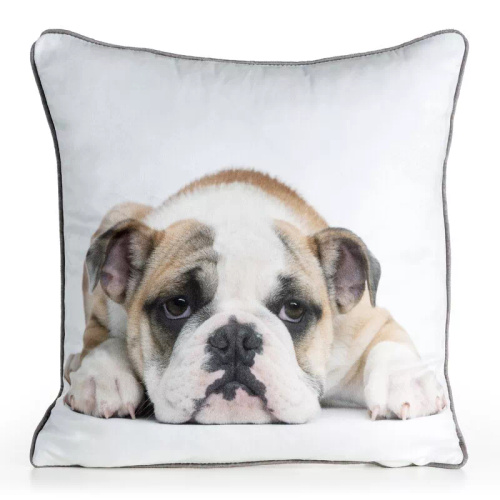 Наволочка Animal buldog 45x45 оксамит Eurofirany на блискавці