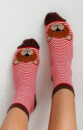Шкарпетки жіночі 0200 Paski z dużym Misiem Milena, - червоний/коричневий