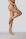  daino 