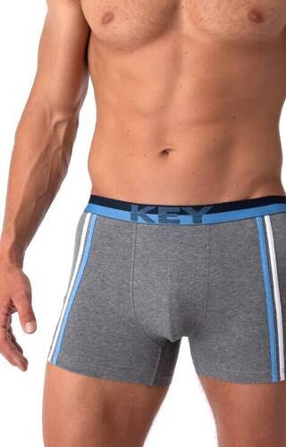 Труси боксерки чоловічі MXH 151 B25 Key, - сірий