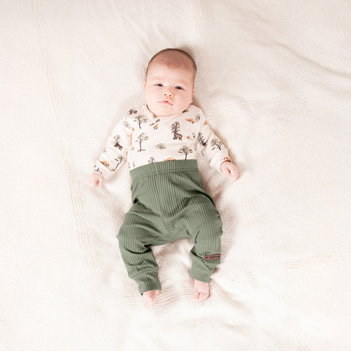 218016 Yogi Bear Штани бавовняні Nicol – зелений рубчик