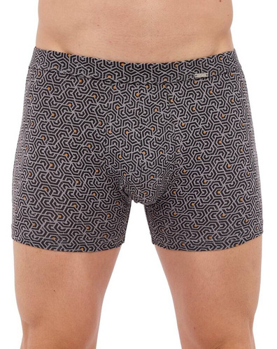 Труси - боксерки чоловічі 904/118 Prime  Cornette, - сірий