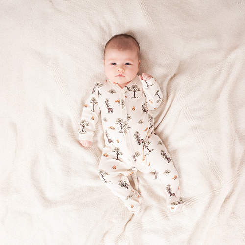 218031 Yogi Bear Комбінезон бавовняний Nicol – лісові тварини